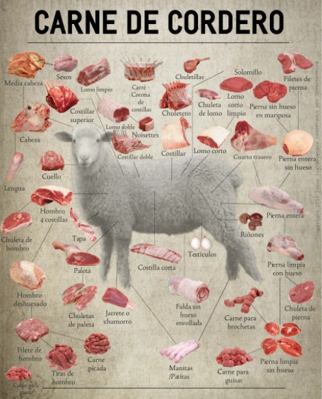 Lamb meat production sheep management practices