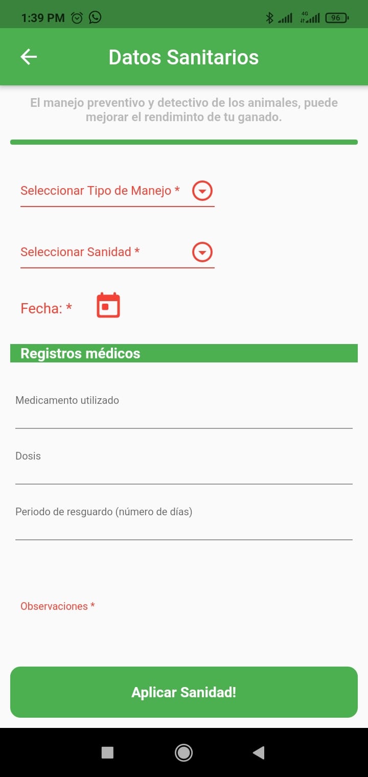 Applying veterinary health treatment to sheep on the farm