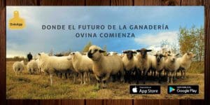 aplicación ovinapp donde el futuro de la ganadería comienza