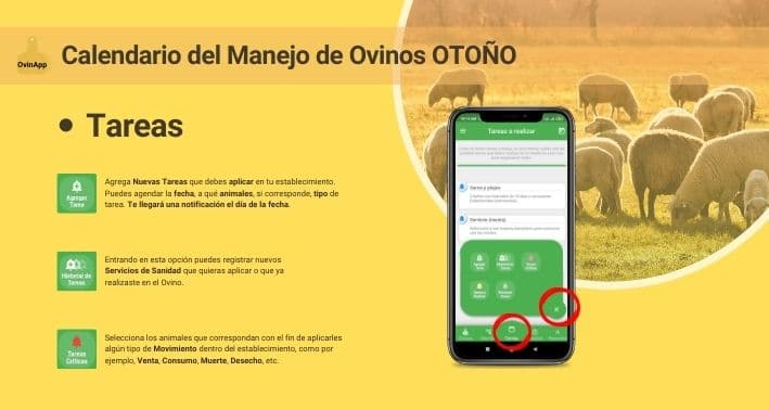 registrar tareas en el calendario ovino con OvinApp