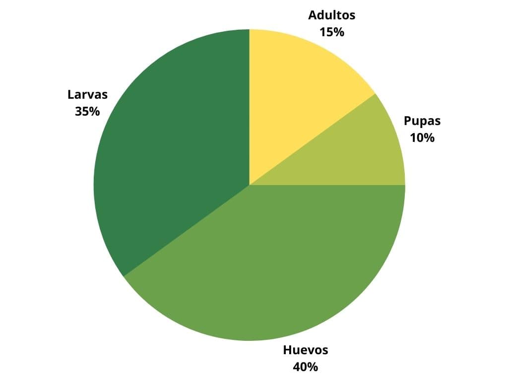 proporciones moscas dentro de la explotación ganadera de ovinos