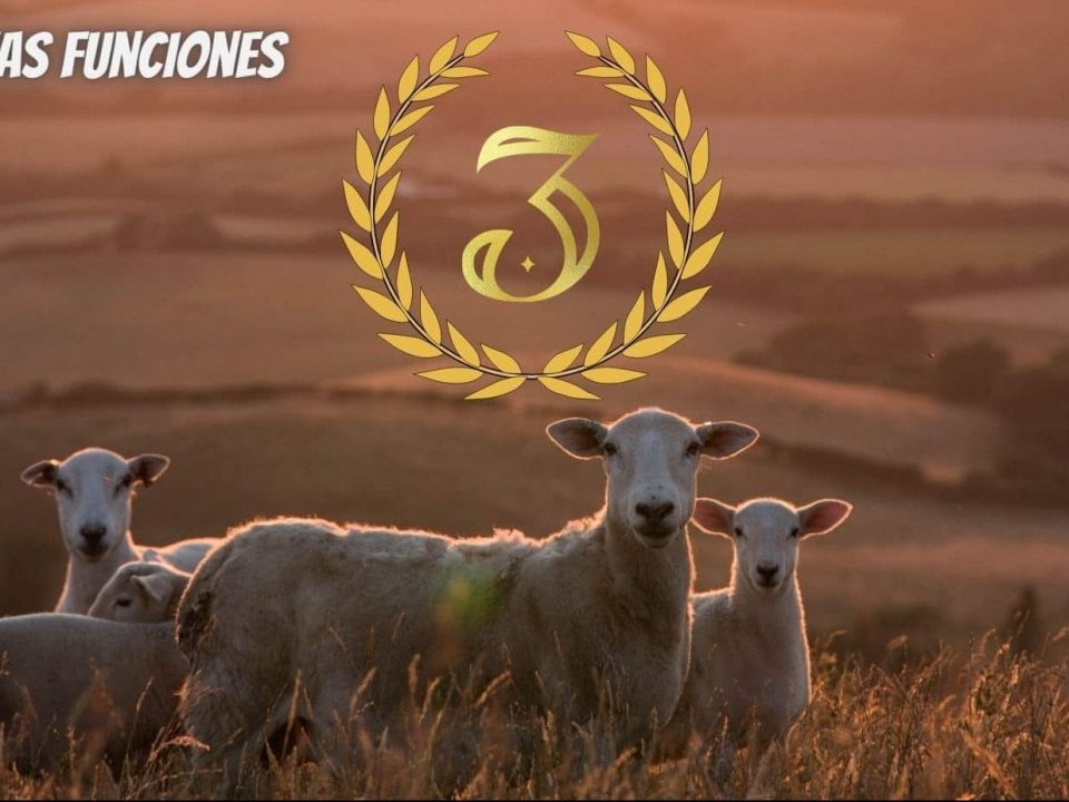 portada nuevas funciones ovinapp