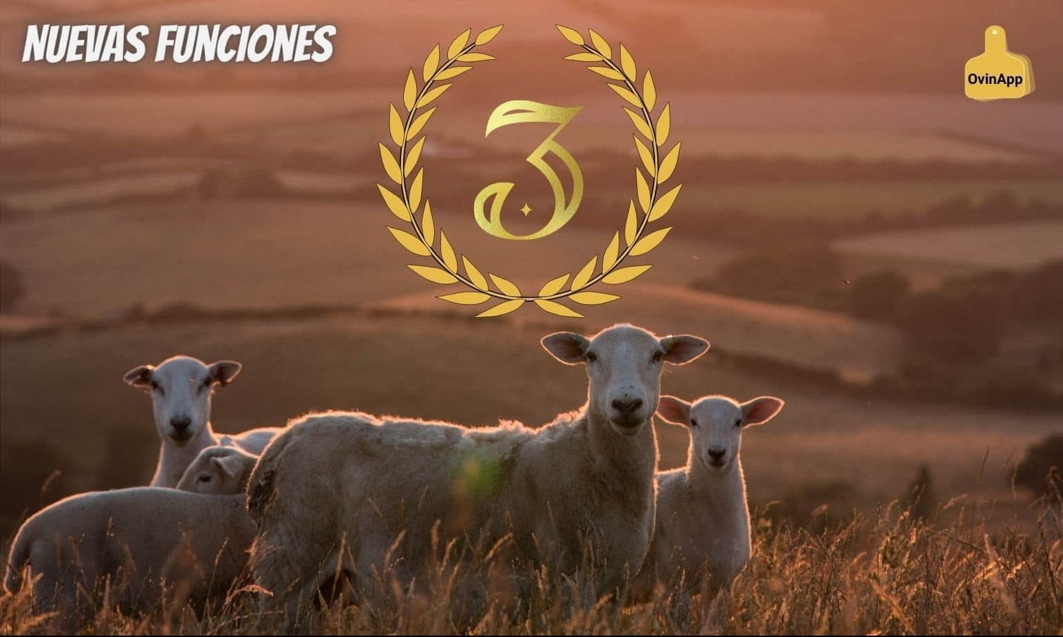 portada nuevas funciones ovinapp