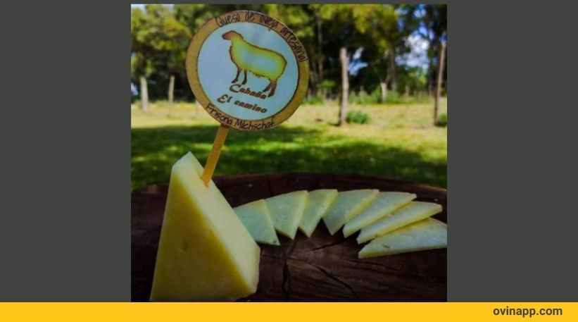 queso ovino de cabaña el camino