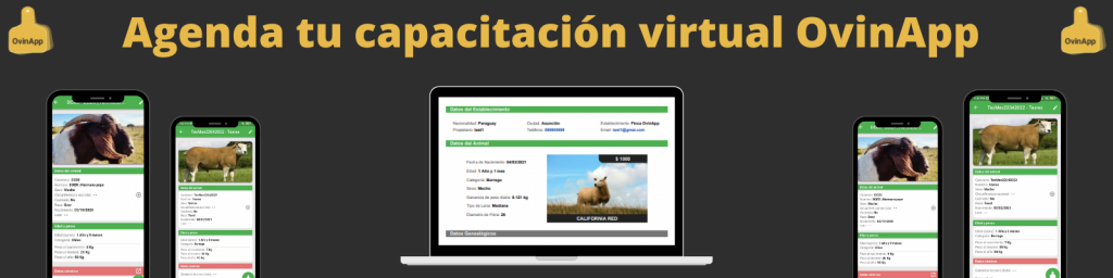 Agenda tu capacitación virtual OvinApp