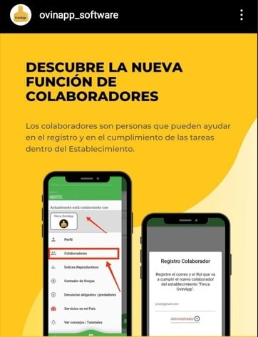 colaboradores dentro de ovinapp del establecimiento