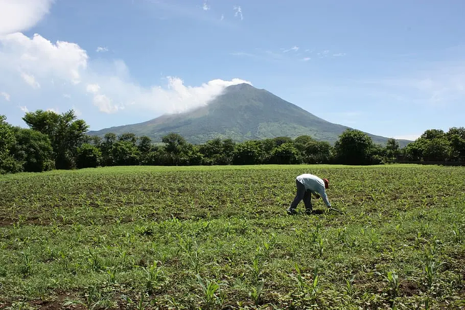 zonas de volcanes alto contenido de azufre poco de selenio