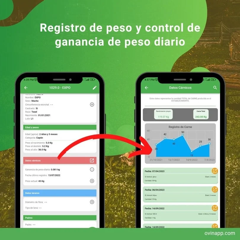 Registro de peso e monitoramento diário de ganho de peso