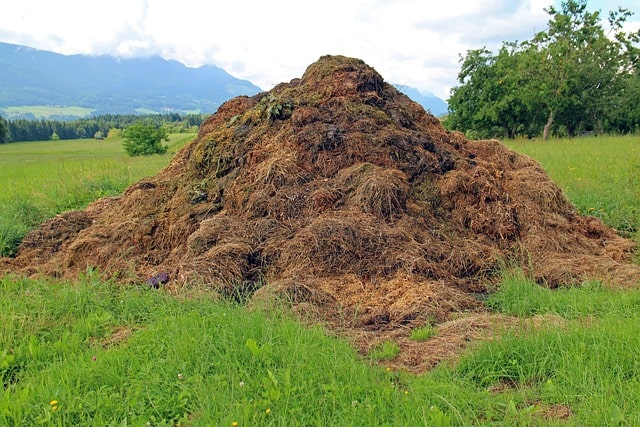 compostar técnicas agrícolas sustentáveis