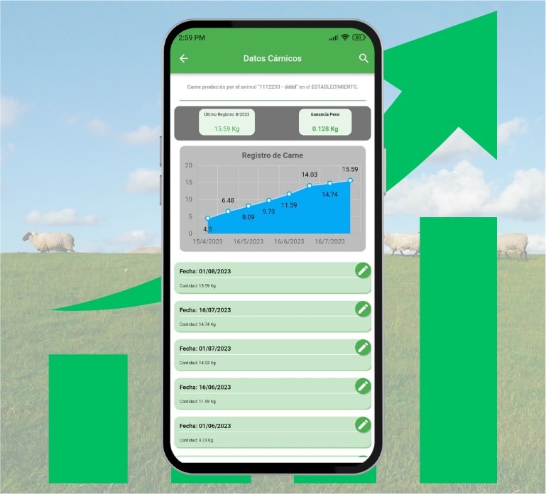 Datos carnicos ovinapp
