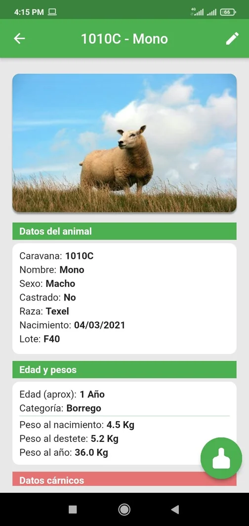 Ficha de un ovino en OvinApp con su foto y datos generales
